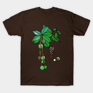 Macadamia Nut T-Shirt